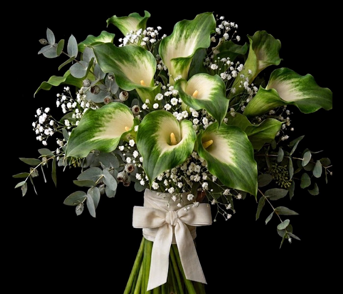 GREEN GODDESS ARUM LILIES