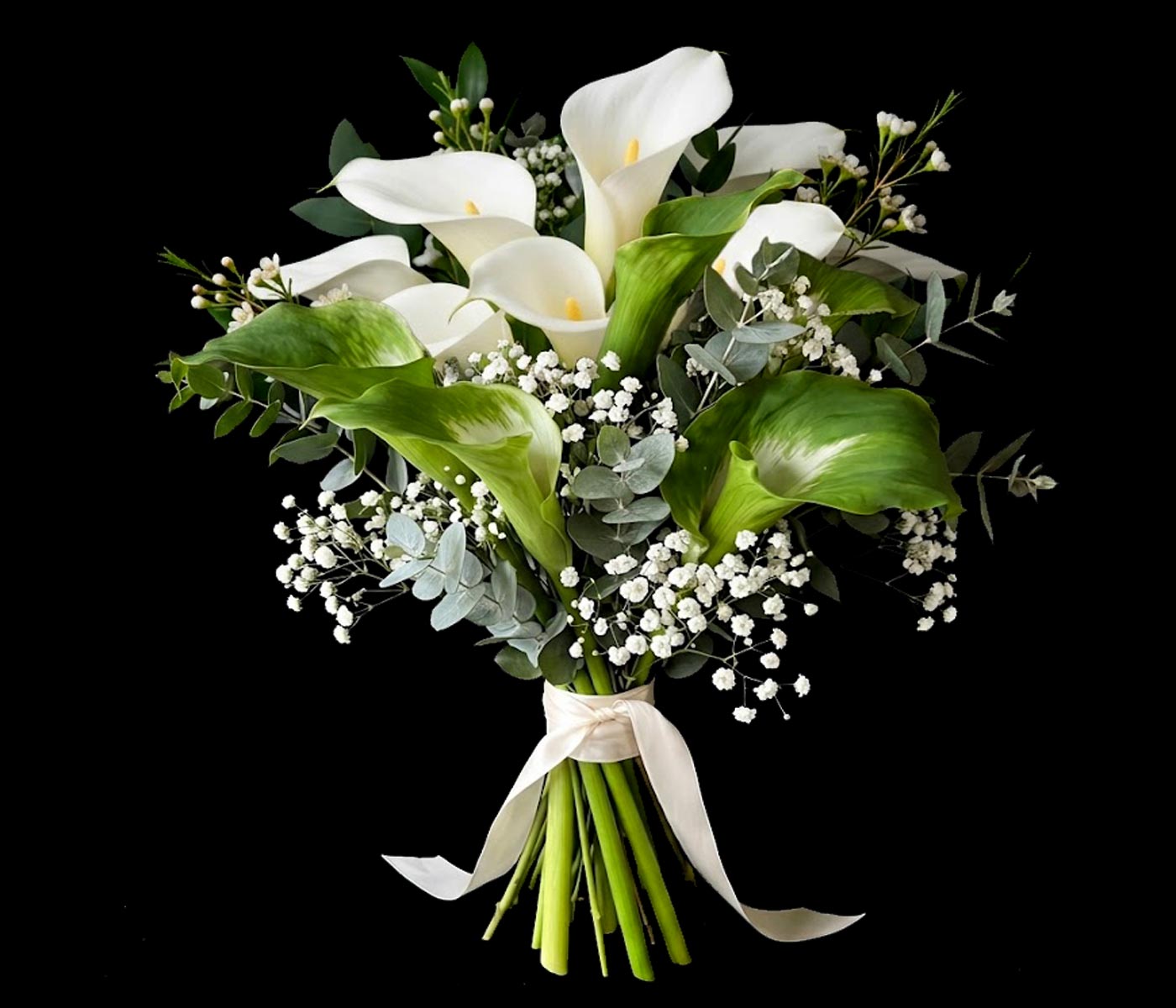 WHITE & GREEN GODDESS ARUM LILIES